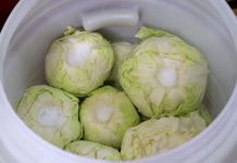 Koliko soli staviti na 10 litara vode za kiseli kupus: Evo prave količine za odličan rasol