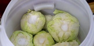 Koliko soli staviti na 10 litara vode za kiseli kupus: Evo prave količine za odličan rasol